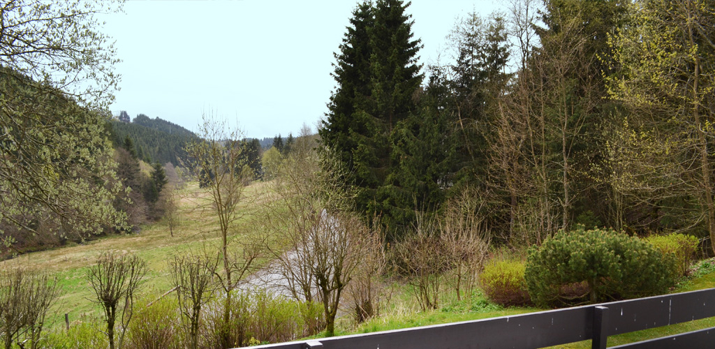 Ausblick Ferienwohnung Golfhof Winterberg